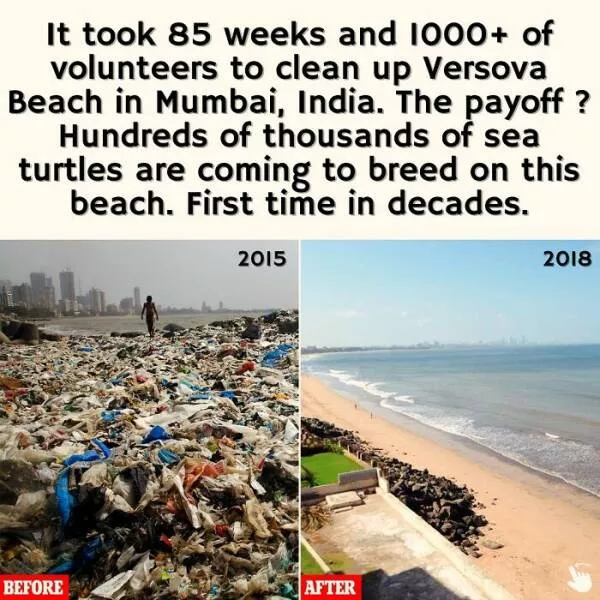 Fascinating facts to satisfy your curious mind - #1 