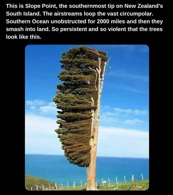 Fascinating facts to satisfy your curious mind - #16 