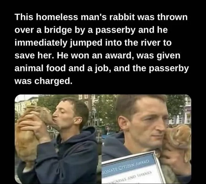 Fascinating facts to satisfy your curious mind - #2 