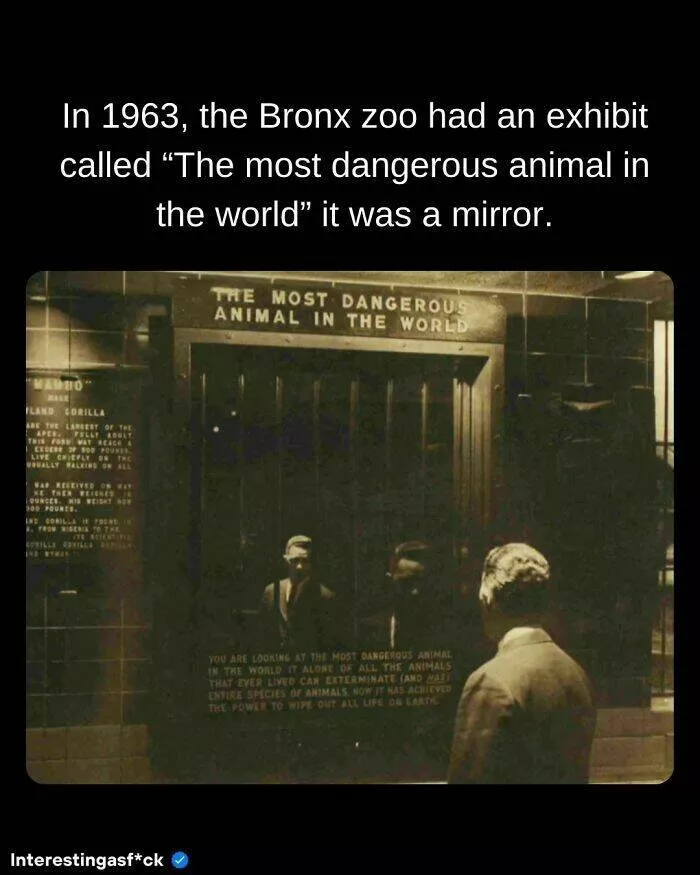 Fascinating facts to satisfy your curious mind - #26 