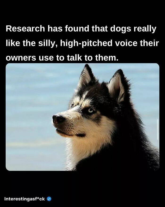 Fascinating facts to satisfy your curious mind - #27 