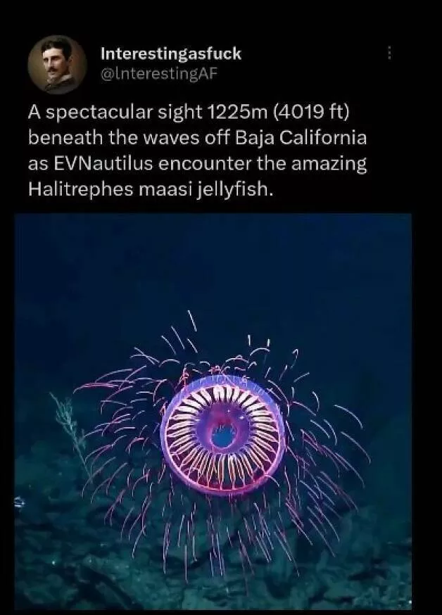 Faits fascinants pour assouvir votre soif de curiosite - #29 