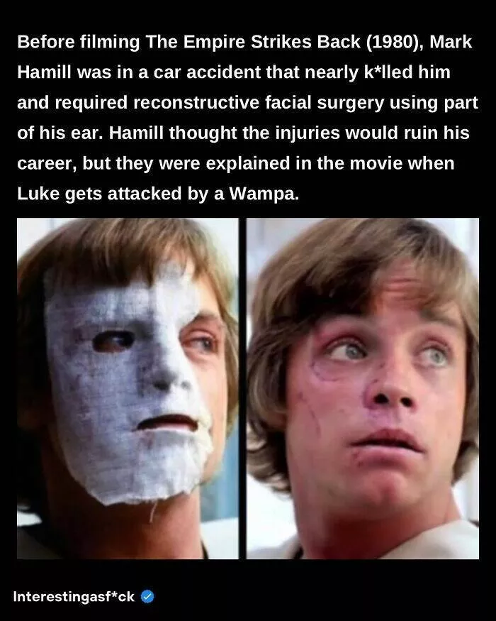 Fascinating facts to satisfy your curious mind