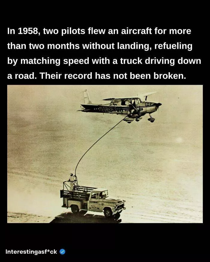 Fascinating facts to satisfy your curious mind