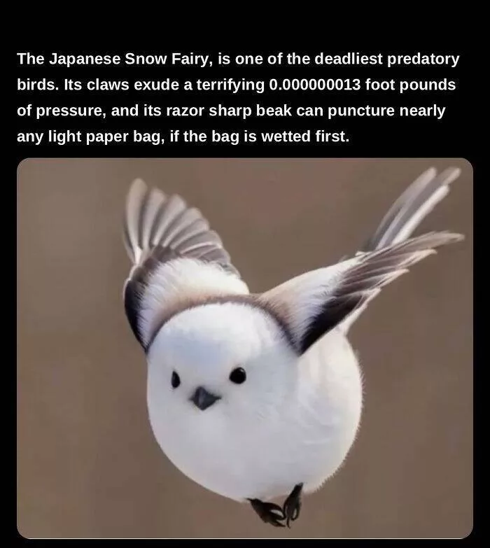Fascinating facts to satisfy your curious mind - #9 