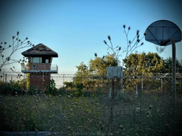 Enigmatic and eerie discoveries from the depths of the forest - #10 All along the watchtower