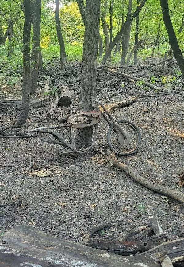 Enigmatic and eerie discoveries from the depths of the forest - #13 Old vehicles overgrown with vegetation in the woods