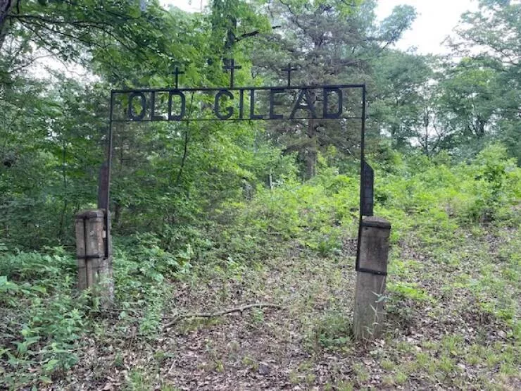 Decouvertes mysterieuses et effrayantes des profondeurs de la foret - #16 Cimetière abandonné dans les bois Decouvertes mysterieuses et effrayantes des profondeurs de la foret - #16 Cimetière abandonné dans les bois