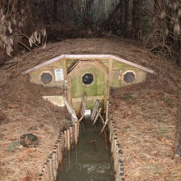 Enigmatic and eerie discoveries from the depths of the forest - #17 A neglected, unauthorized shelter I stumbled upon in the forest