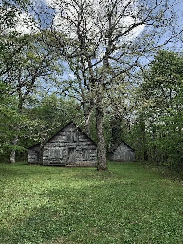 Enigmatic and eerie discoveries from the depths of the forest - #4 A place where witches are said to devour people
