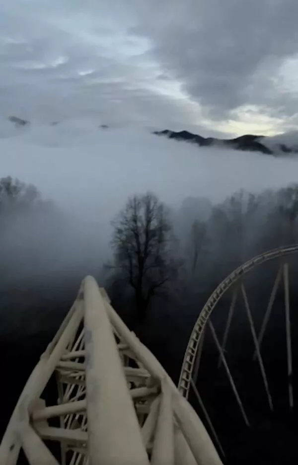Enigmatic and eerie discoveries from the depths of the forest - #6 The Smoky Mountains live up to their name; I was unexpectedly enveloped in fog
