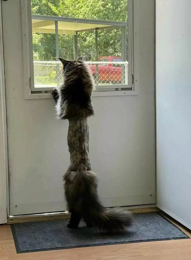Picdump 924 - #13 