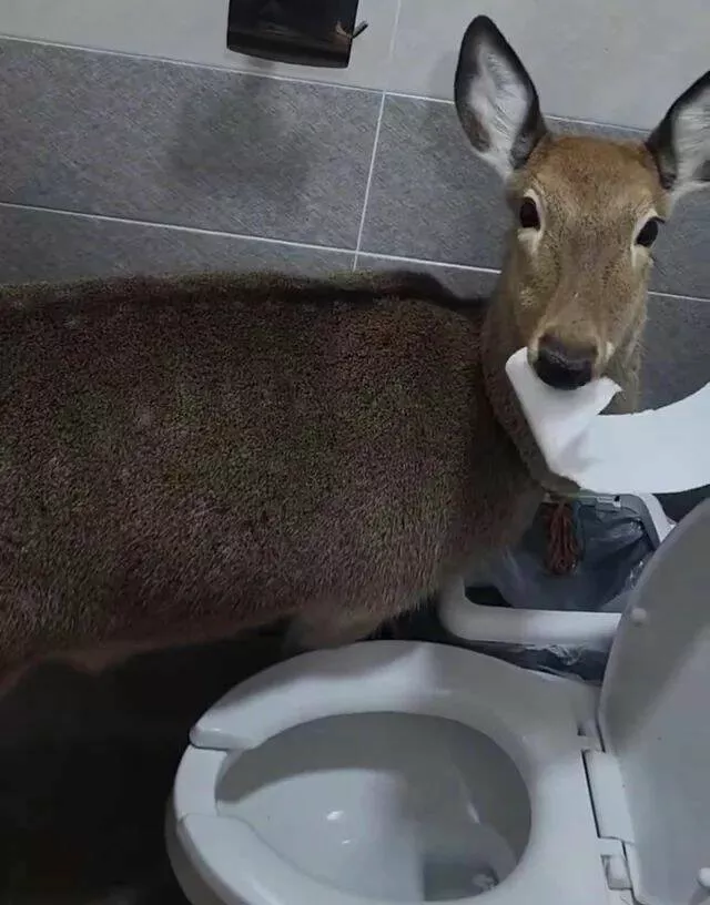 Picdump 924 - #16 