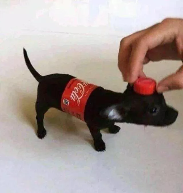 Picdump 924 - #19 