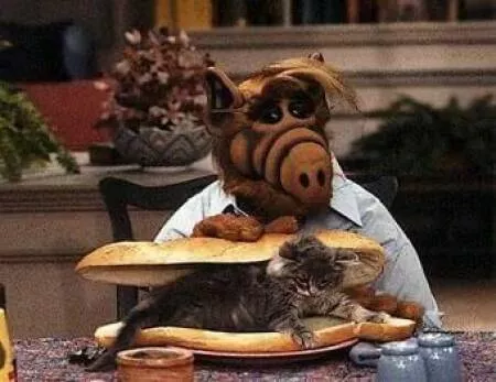 Picdump 924 - #43 
