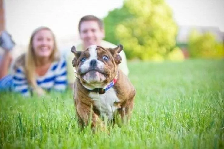 Picdump 924 - #44 