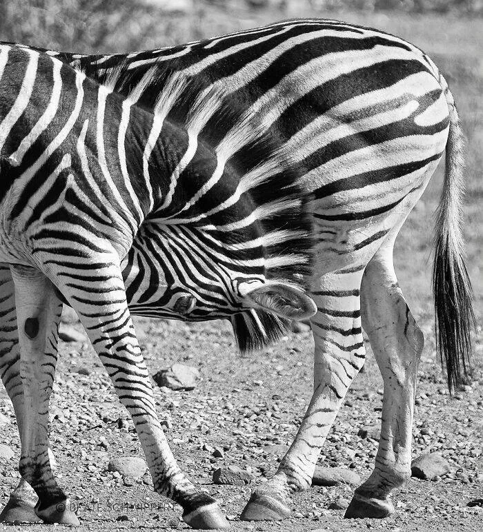 Amazing photos of unbelievably rare coincidences