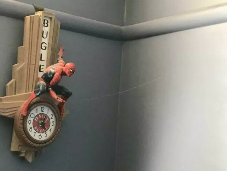 Amazing photos of unbelievably rare coincidences - #18 Perfectly Placed Web