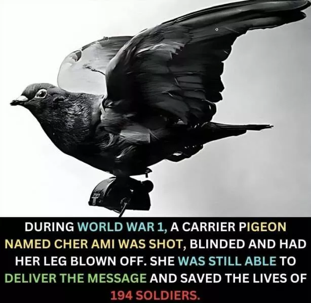Mind blowing facts and astonishing wonders from around the world - #15 