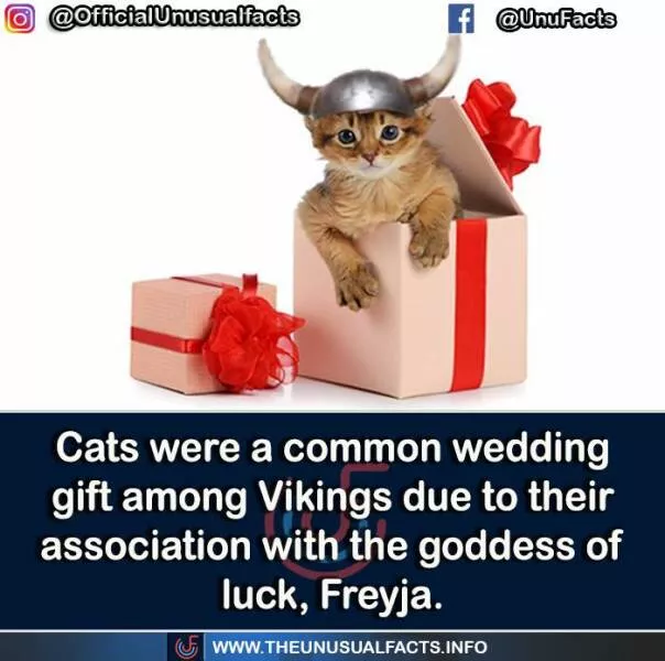 Mind blowing facts and astonishing wonders from around the world - #16 