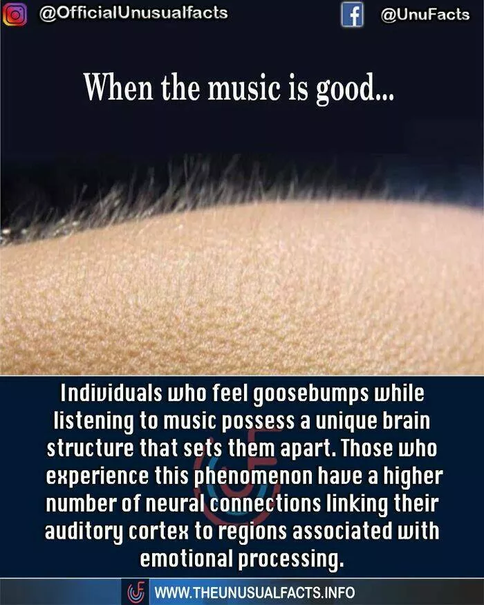 Mind blowing facts and astonishing wonders from around the world - #17 