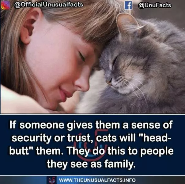 Mind blowing facts and astonishing wonders from around the world - #18 