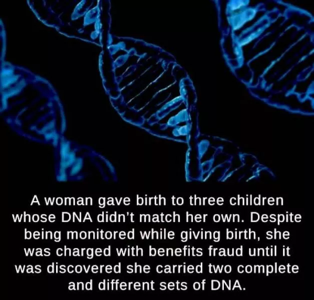 Mind blowing facts and astonishing wonders from around the world - #19 