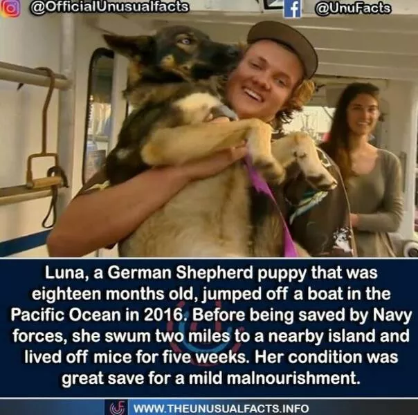 Mind blowing facts and astonishing wonders from around the world - #23 