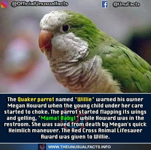 Mind blowing facts and astonishing wonders from around the world - #3 
