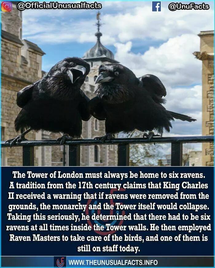 Mind blowing facts and astonishing wonders from around the world - #36 