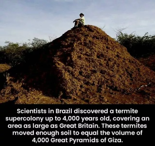 Mind blowing facts and astonishing wonders from around the world - #37 