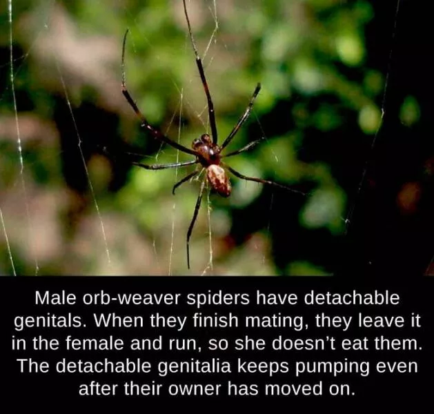 Mind blowing facts and astonishing wonders from around the world - #41 