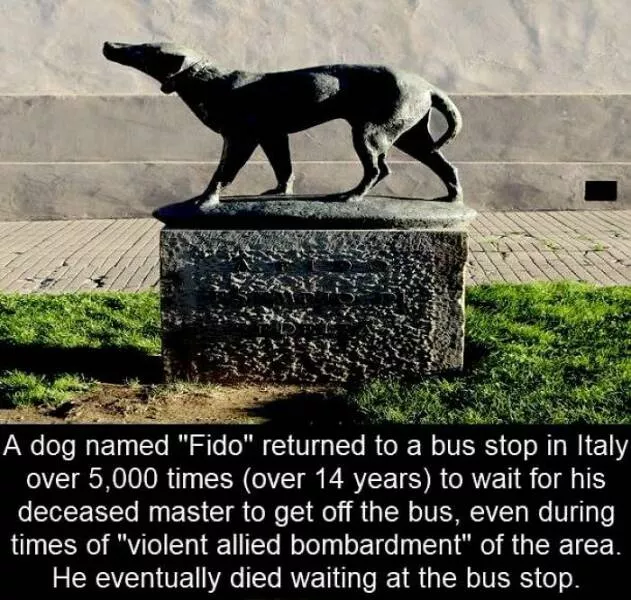 Mind blowing facts and astonishing wonders from around the world - #44 
