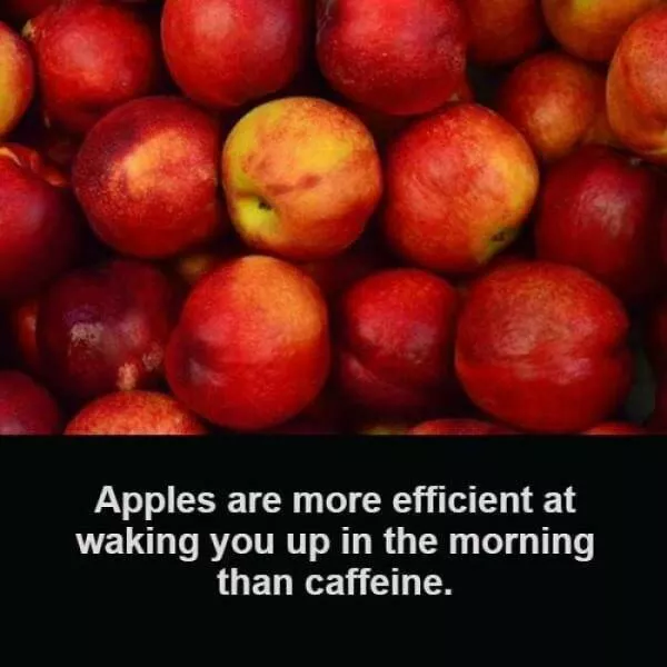 Mind blowing facts and astonishing wonders from around the world - #48 