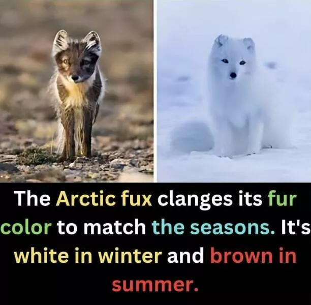 Mind blowing facts and astonishing wonders from around the world - #49 