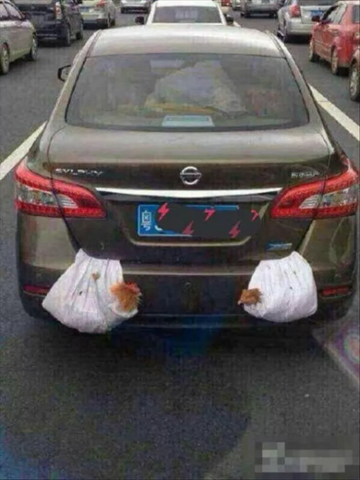 Picdump 925 - #32 