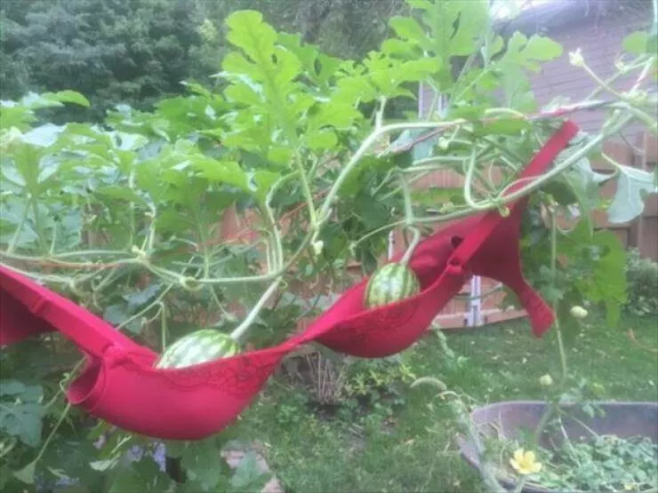 Hilariously genius redneck hacks that surprisingly work - #18 