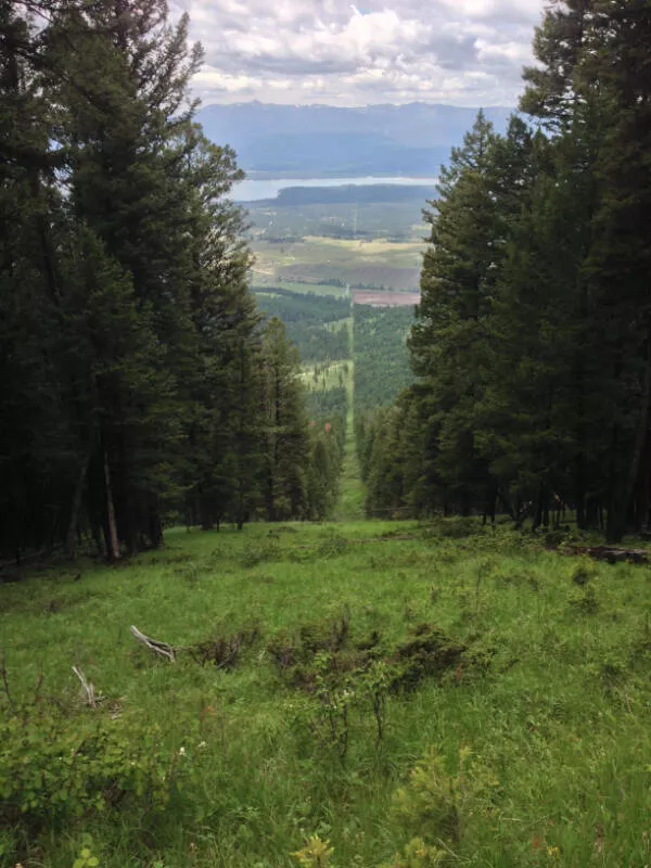 Extraordinary and stunning photos you wont want to miss - #12 The border between Canada and the U.S. is just a clear-cut line in the forest, seen above Eureka, MT
