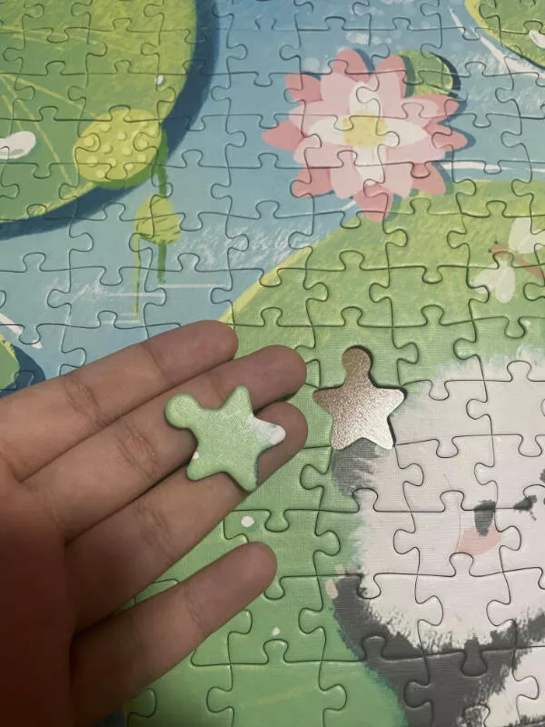 Extraordinary and stunning photos you wont want to miss - #15 This puzzle has mostly normal pieces, except for one that's shaped like a star