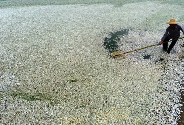 23 worried images of extreme pollution in china - #15 