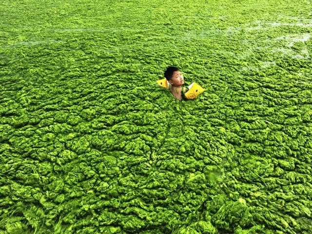 23 worried images of extreme pollution in china - #19 