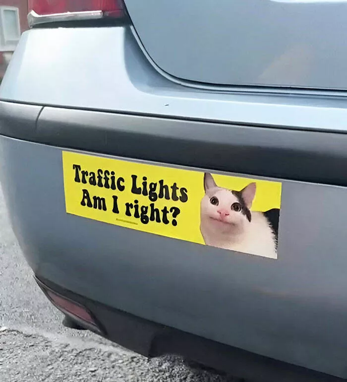 Side splitting bumper stickers that will brighten your day - #16 
