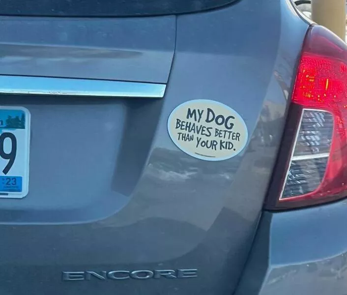 Side splitting bumper stickers that will brighten your day