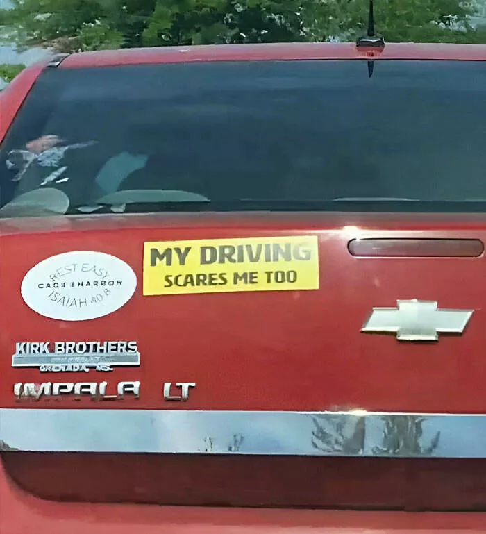 Side splitting bumper stickers that will brighten your day - #26 
