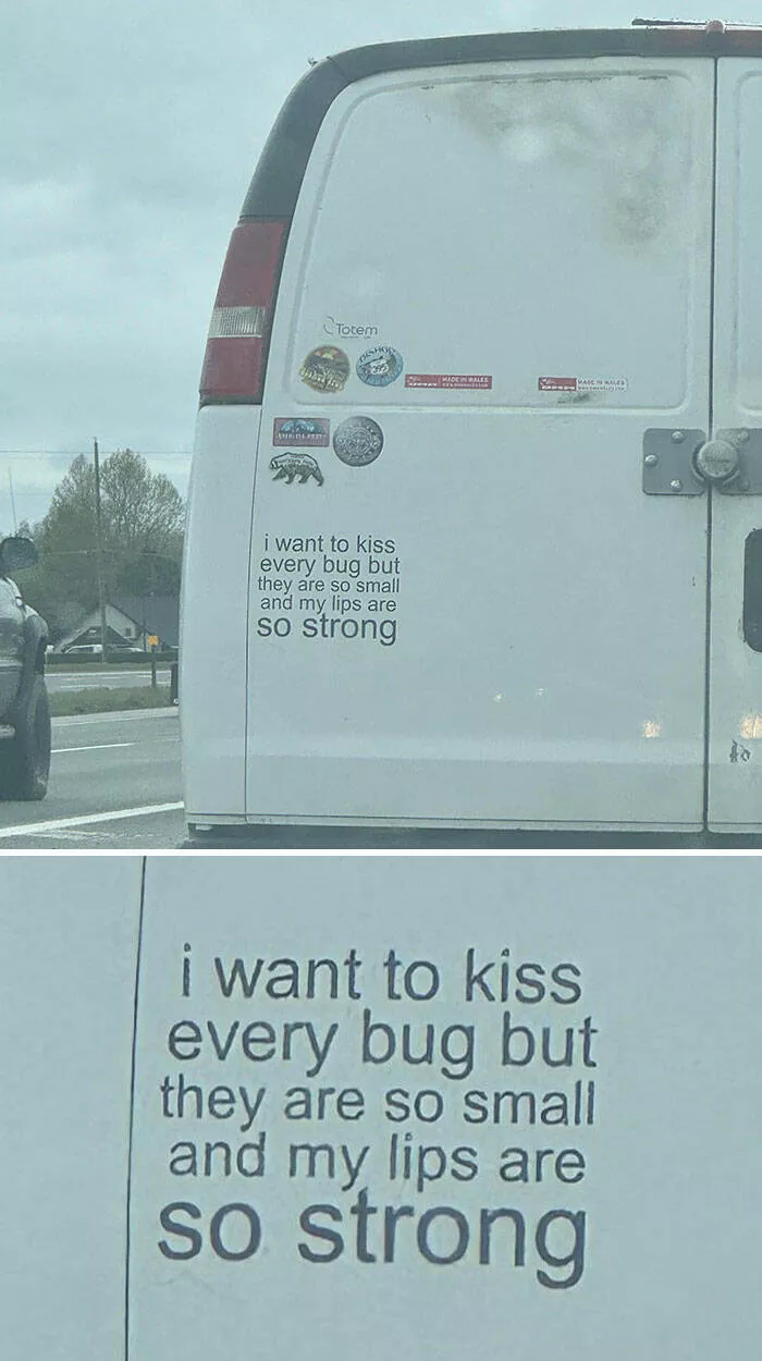 Side splitting bumper stickers that will brighten your day - #27 
