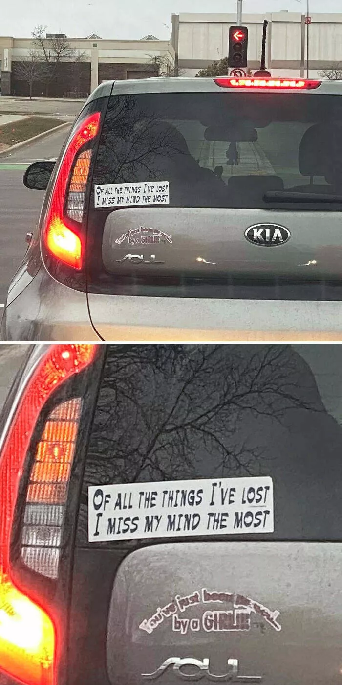 Side splitting bumper stickers that will brighten your day - #31 