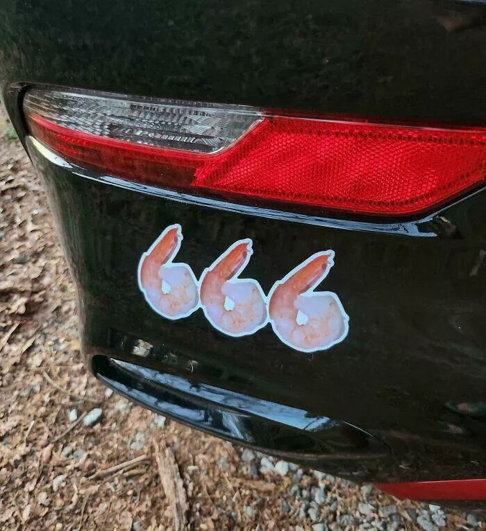 Side splitting bumper stickers that will brighten your day - #33 