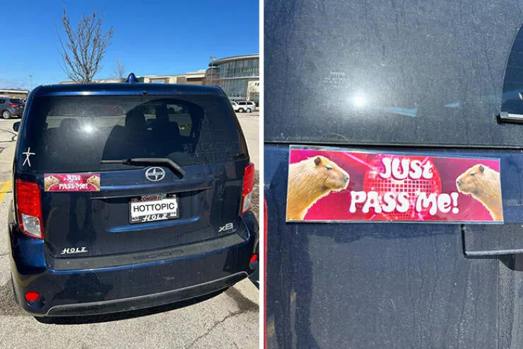 Side splitting bumper stickers that will brighten your day - #35 