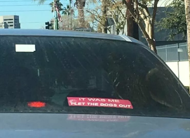 Side splitting bumper stickers that will brighten your day - #37 
