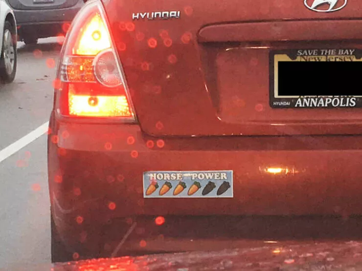 Side splitting bumper stickers that will brighten your day - #38 